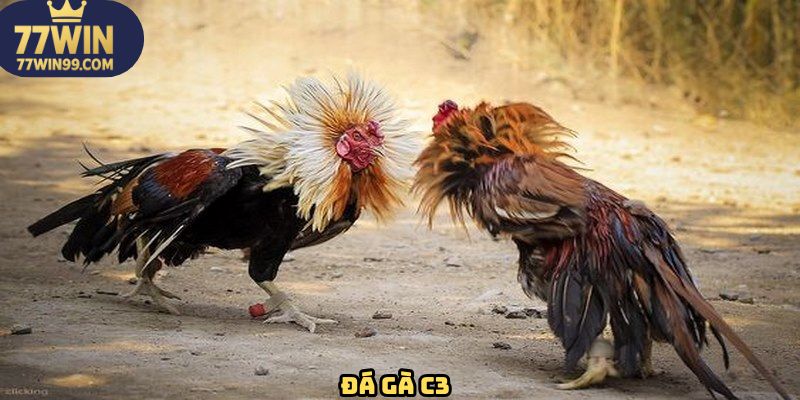 da-ga-c3-avt