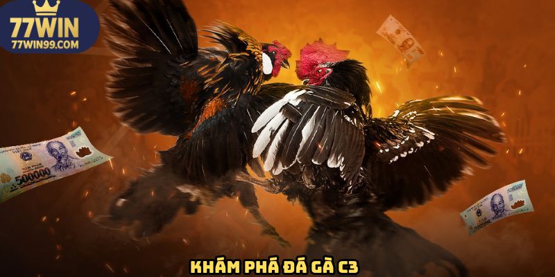 Tổng quan những nét chung về đá gà C3