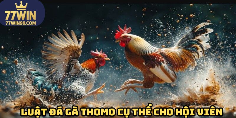 Luật đá gà Thomo cụ thể cho hội viên