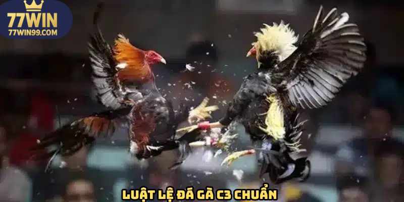 Thông tin về luật lệ cần nắm trong giải đá gà C3