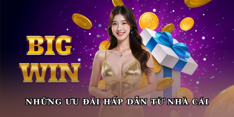 Những ưu đãi đầy hấp dẫn từ nhà cái giúp hội viên thả ga giải trí