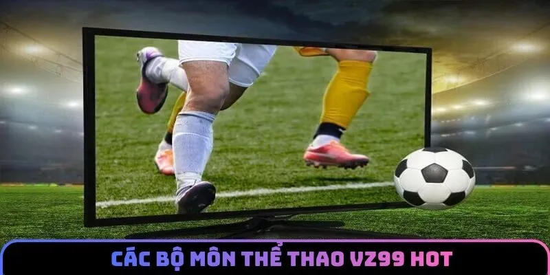 Những bộ môn thể thao VZ99 được săn đón nhất